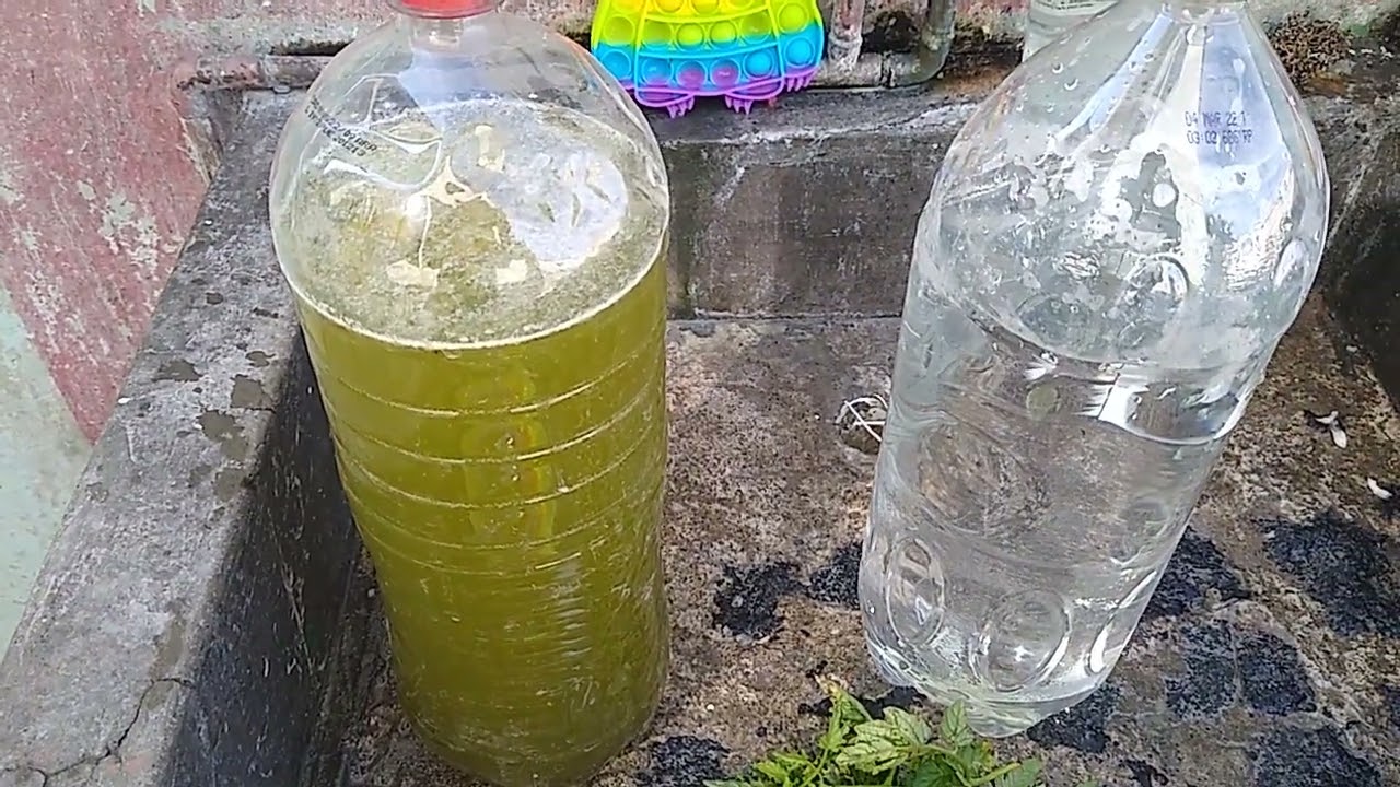 como hacer nitrogeno casero para plantas