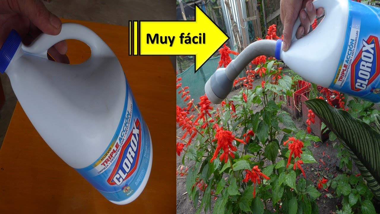 como hacer una regadera para plantas