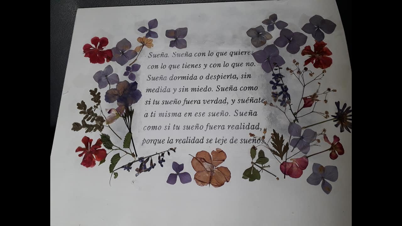 como pegar flores secas en papel