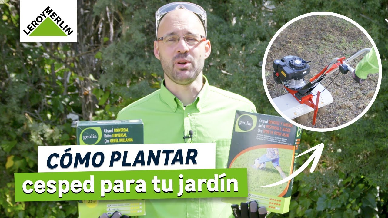 como plantar cesped en tierra seca