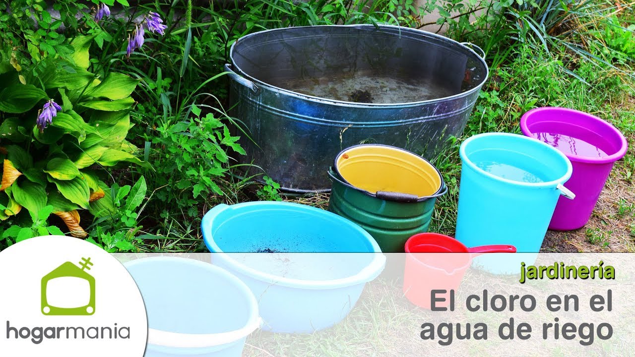 como quitar la cal del agua para regar plantas