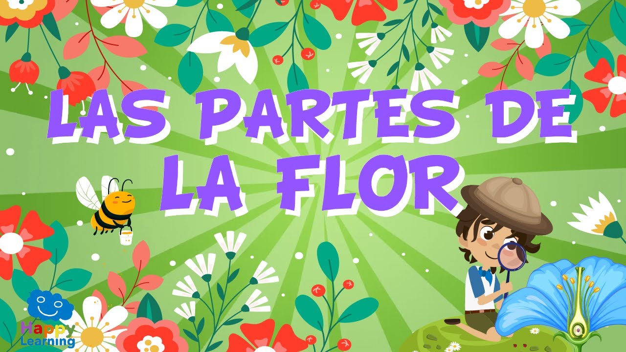 como se llama el centro de la flor