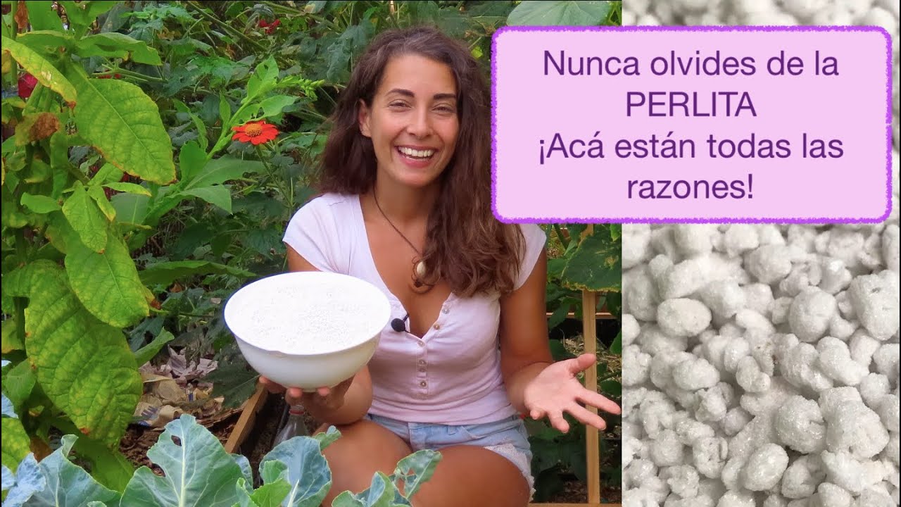 como se usa la perlita en las plantas