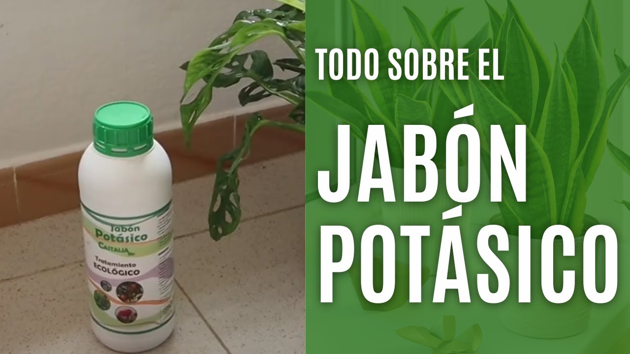 como usar el jabon potasico en plantas