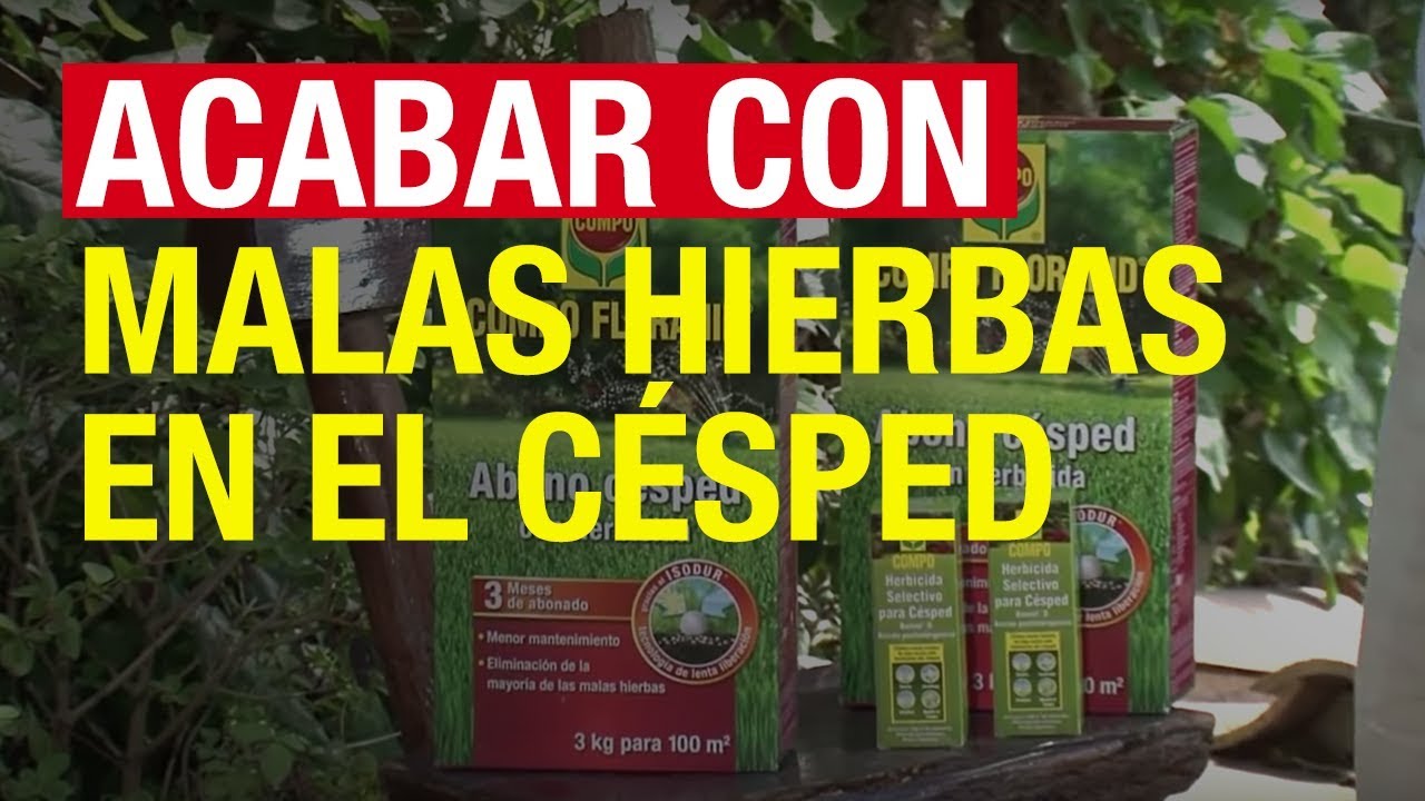 compo floranid abono césped + herbicida