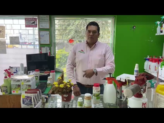 comprar aceite de neem para plantas