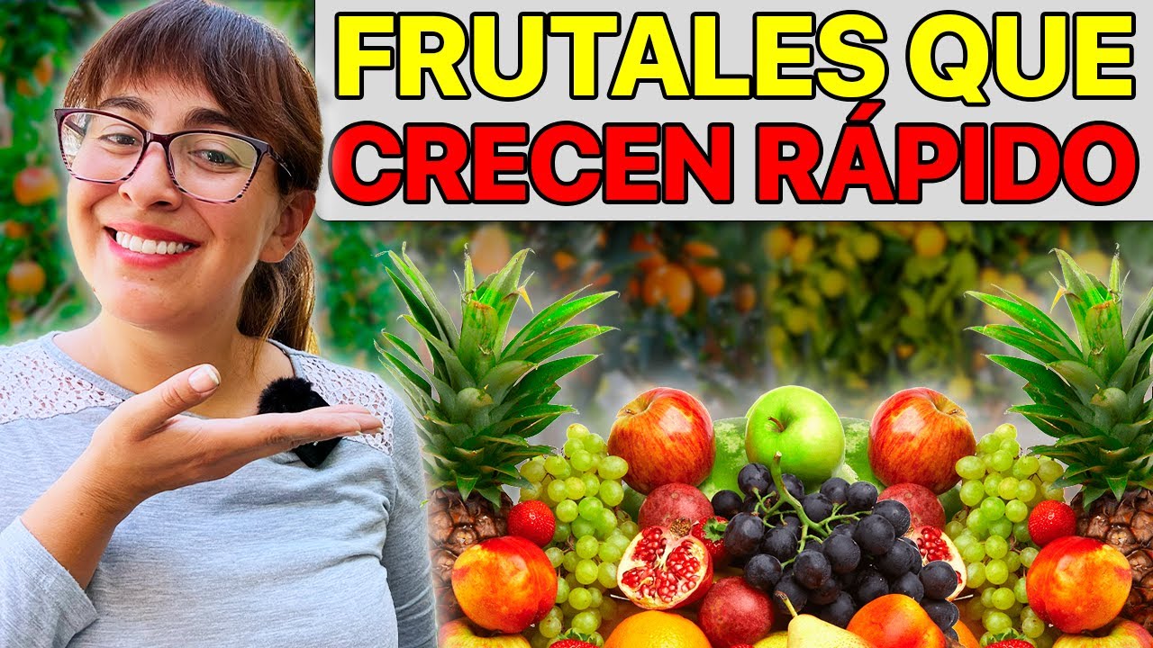 comprar plantas de frutos del bosque
