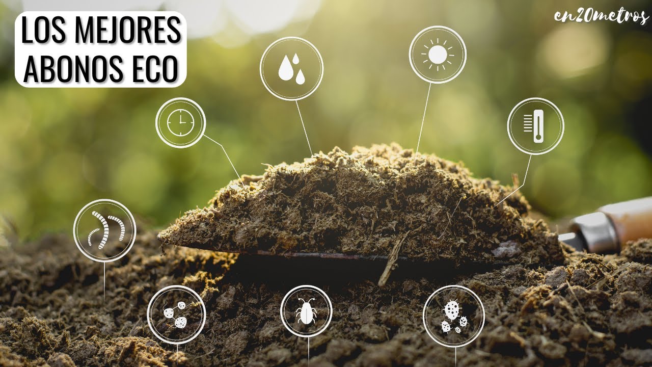 cual es el mejor abono organico para las plantas