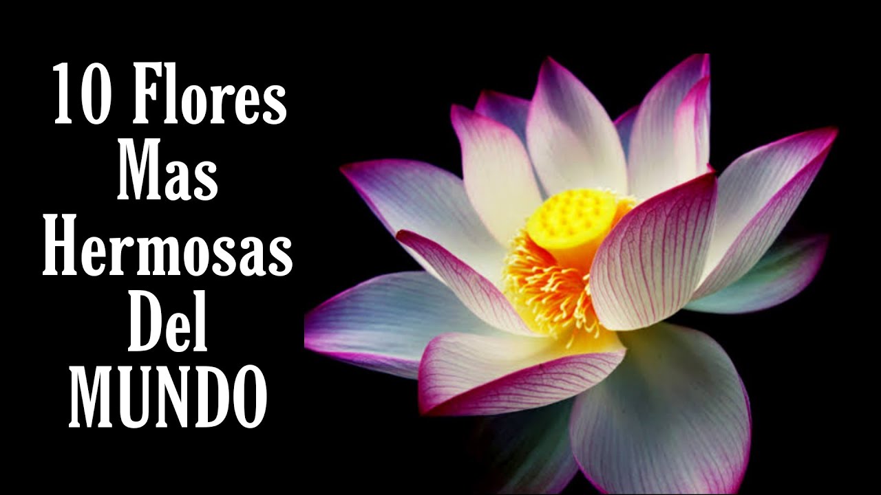 cual es el mes de las flores