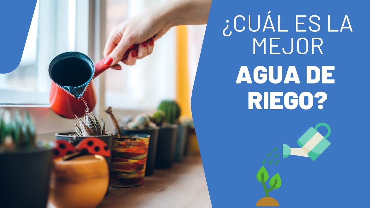 cual es la mejor agua para regar las plantas