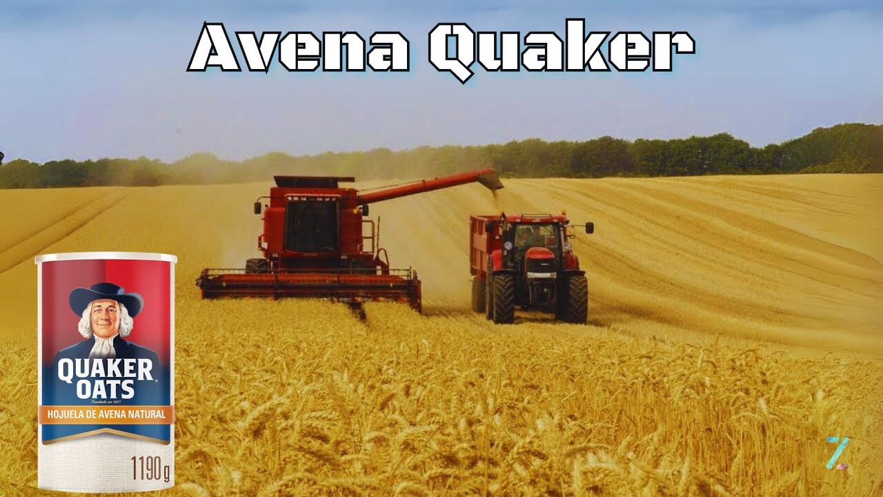 de que planta viene la avena