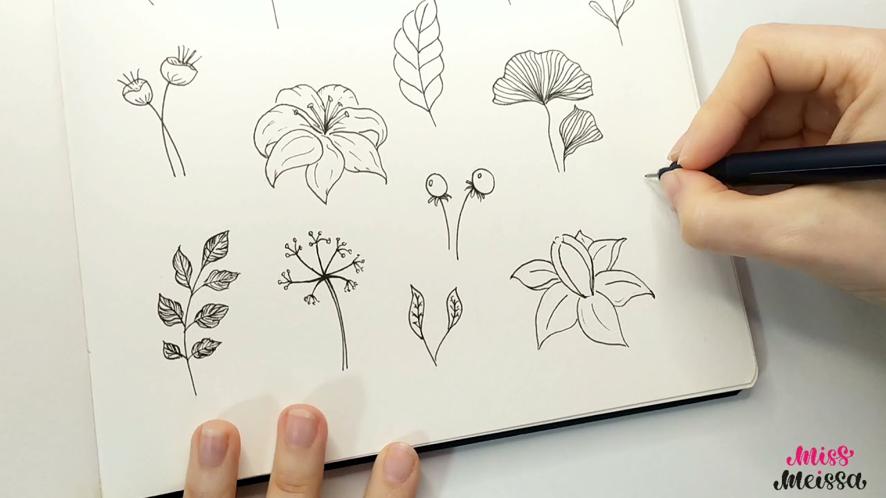 dibujos de ramas con hojas y flores