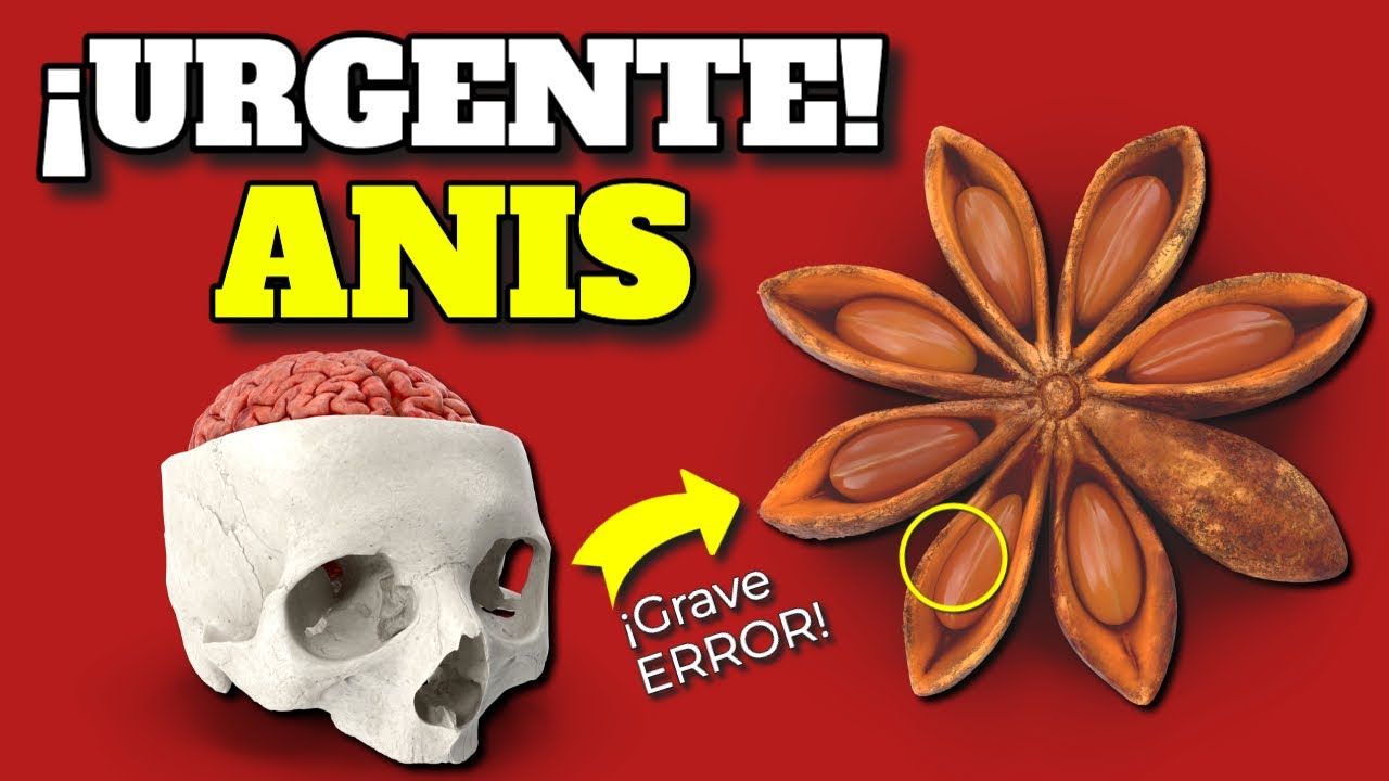 diferentes tipos de plantas de anis