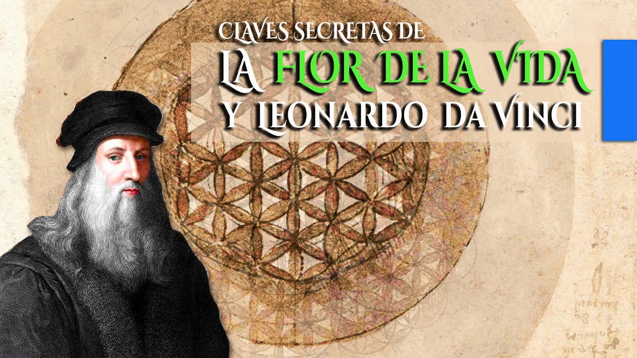 donde colocar la flor de la vida