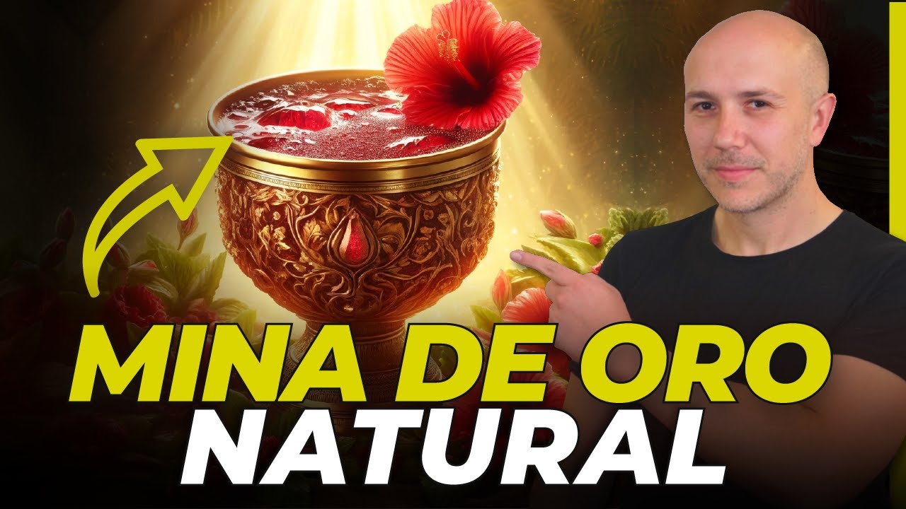 donde comprar flor de jamaica en barcelona