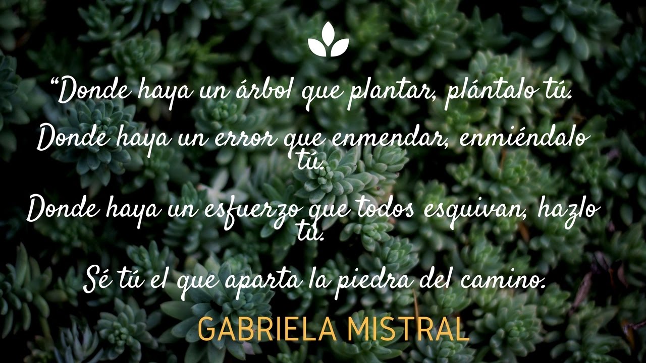 donde haya un arbol que plantar