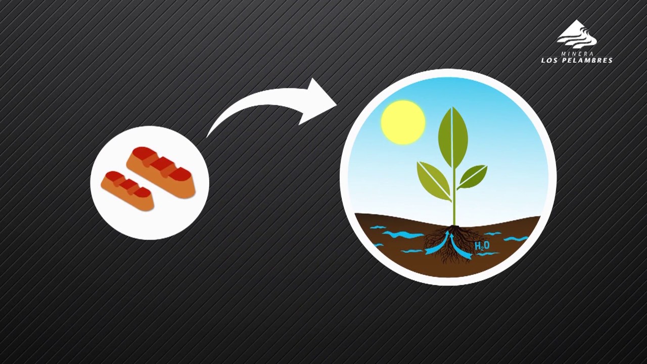 efectos del cobre en las plantas