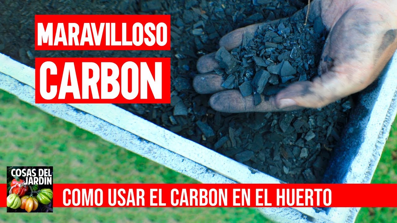 el carbon es bueno para las plantas