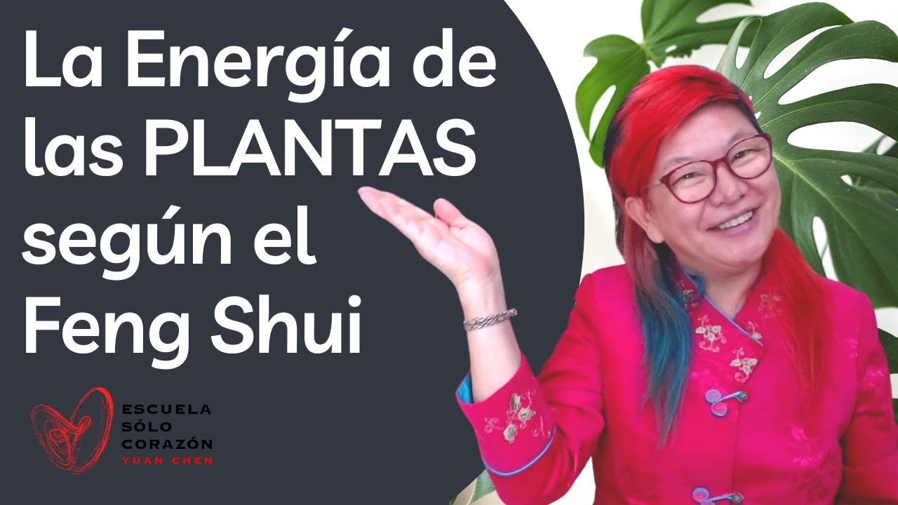 el feng shui y las plantas