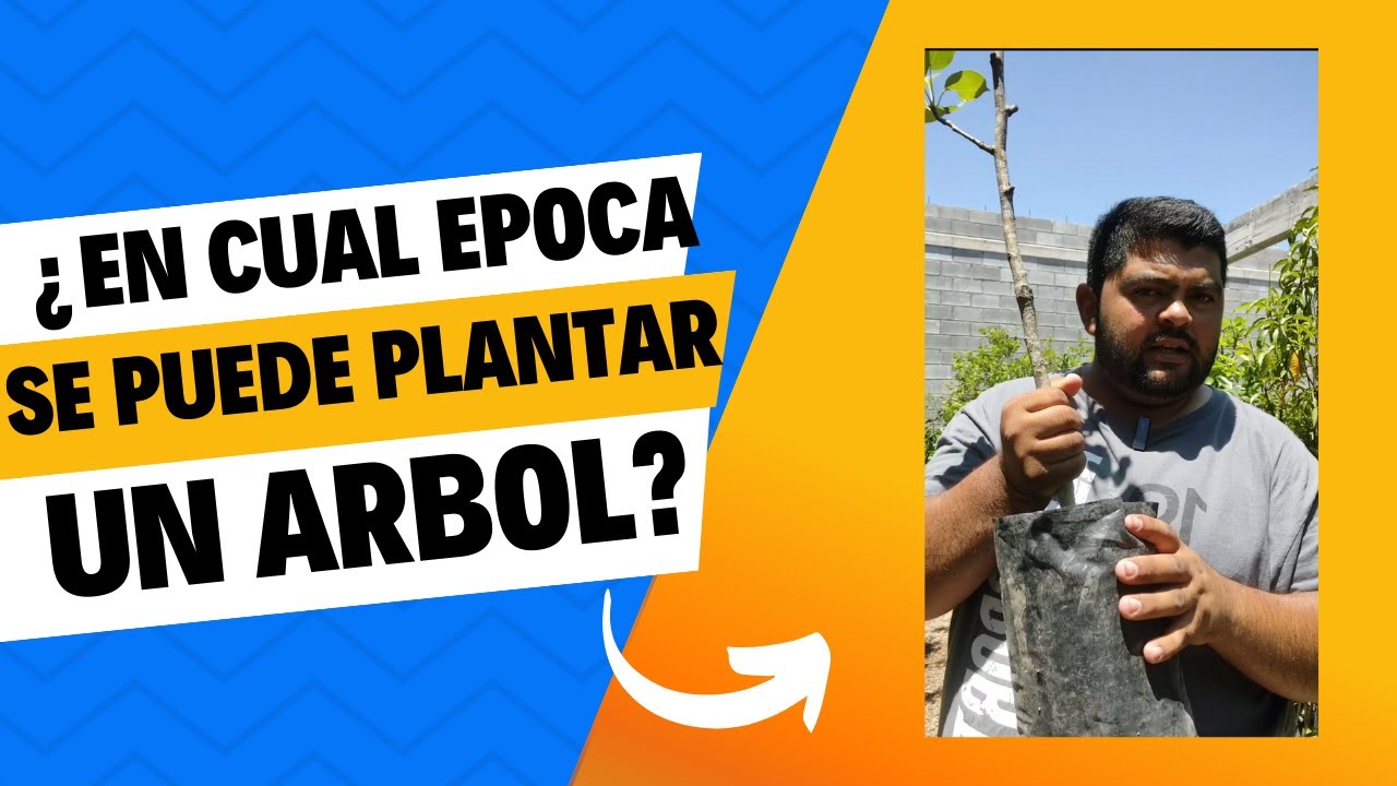 epoca de plantacion de arboles frutales