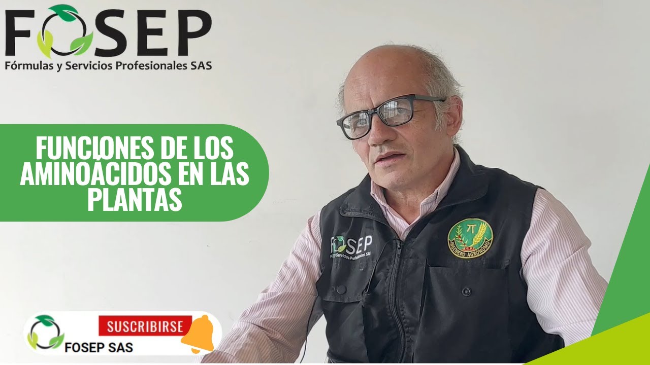 exceso de aminoácidos en las plantas