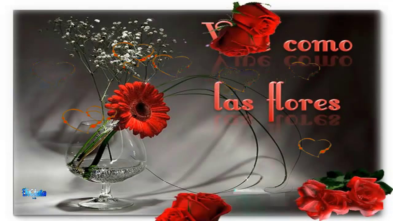 feliz fin de semana con flores