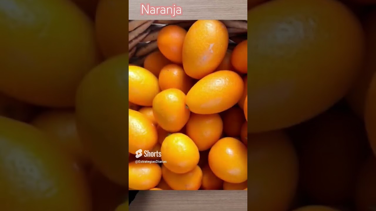 flor blanca del naranjo y otros citricos