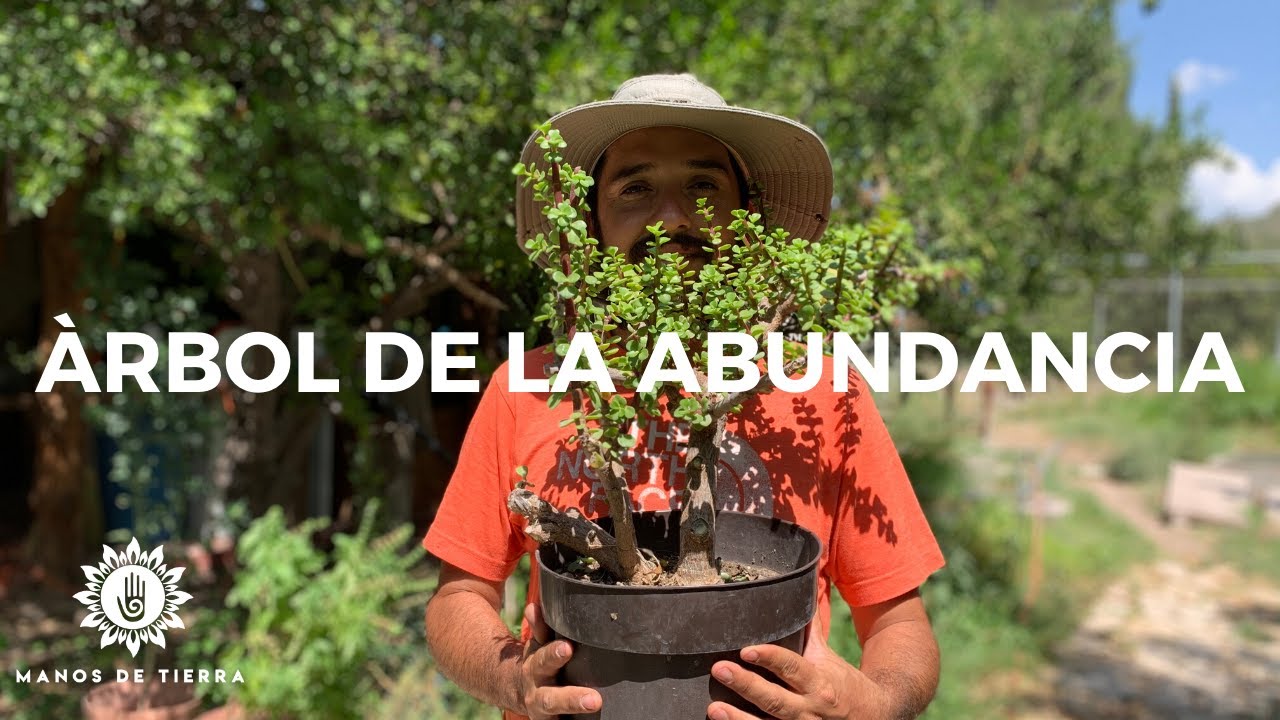 flor del arbol de la abundancia