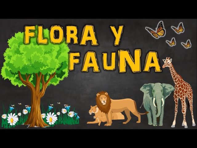 flora y fauna propia de un lugar