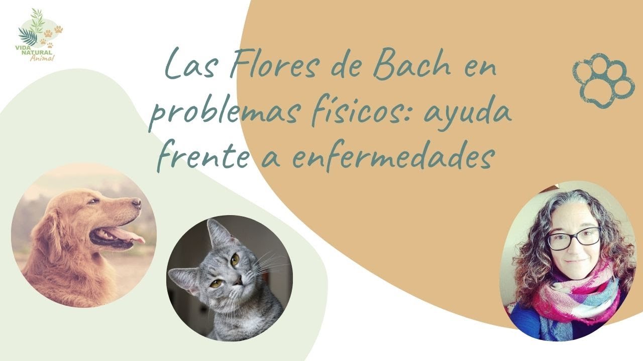 flores de bach para perros opiniones
