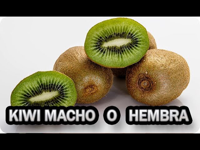 flores de kiwi macho y hembra