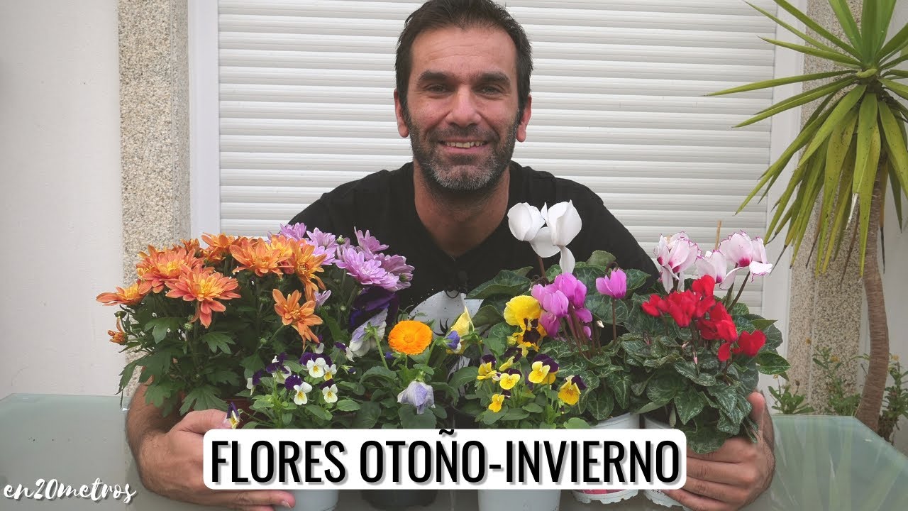 flores de otoño e invierno exterior