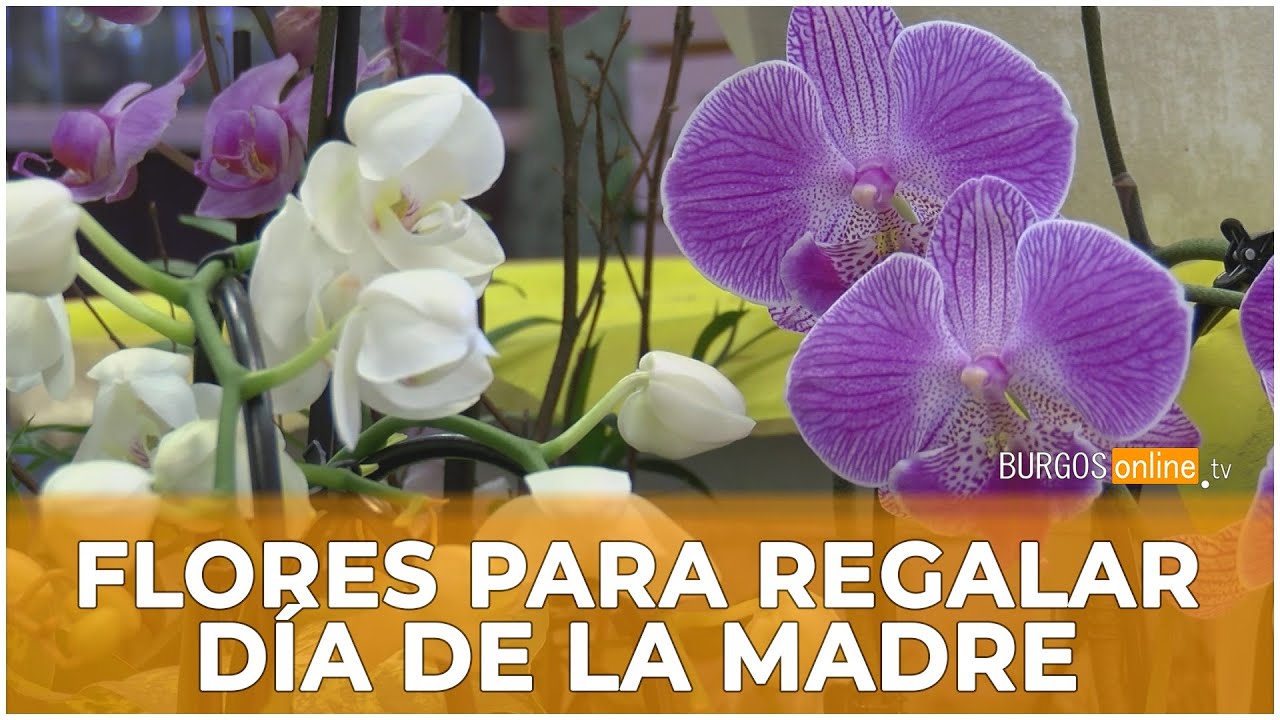 flores para el día de la madre