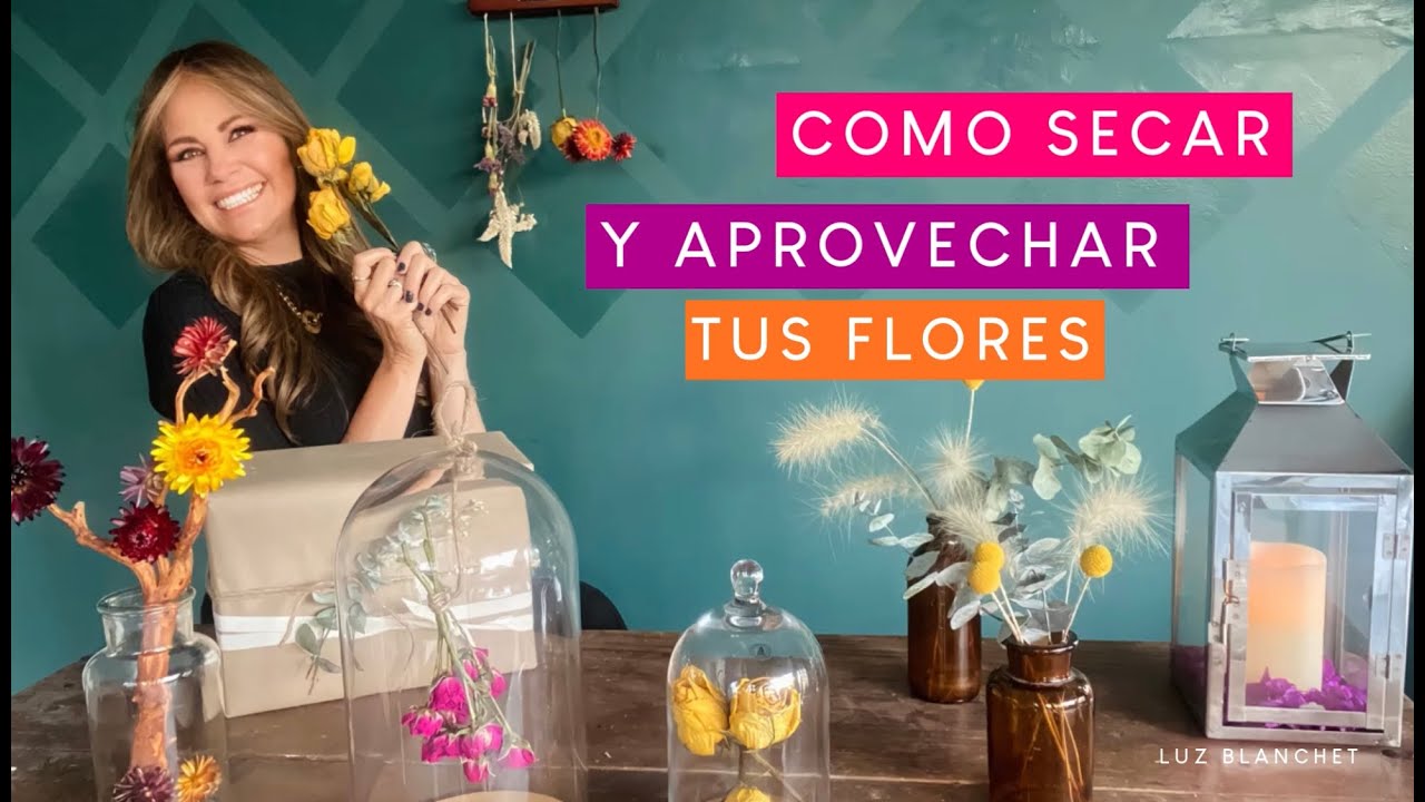 flores que se secan y quedan bonitas