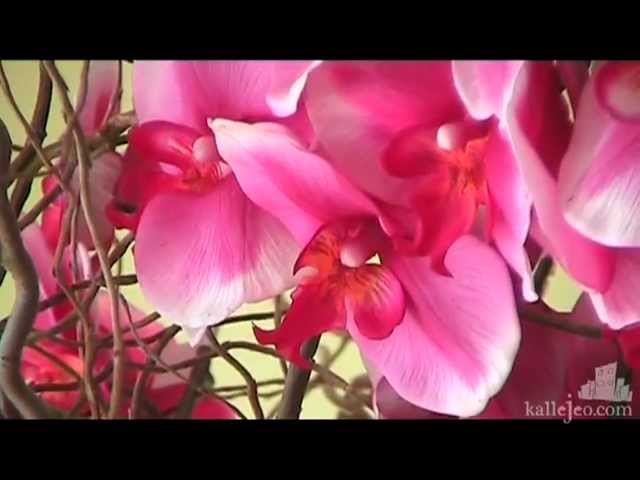 floristerías alcalá de henares a domicilio
