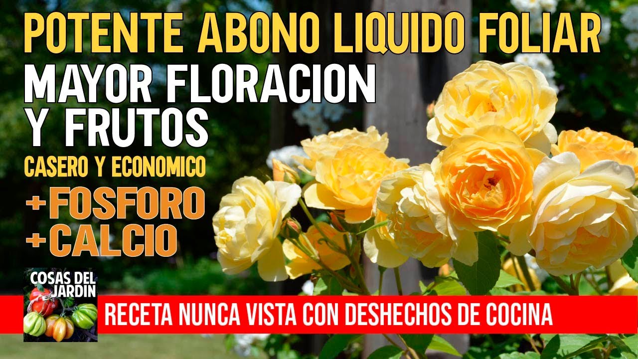 fosforo y potasio para plantas casero