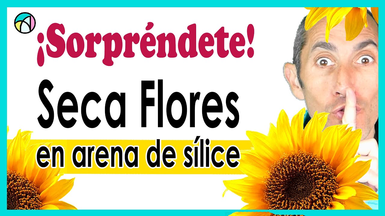 gel de silice para secar flores