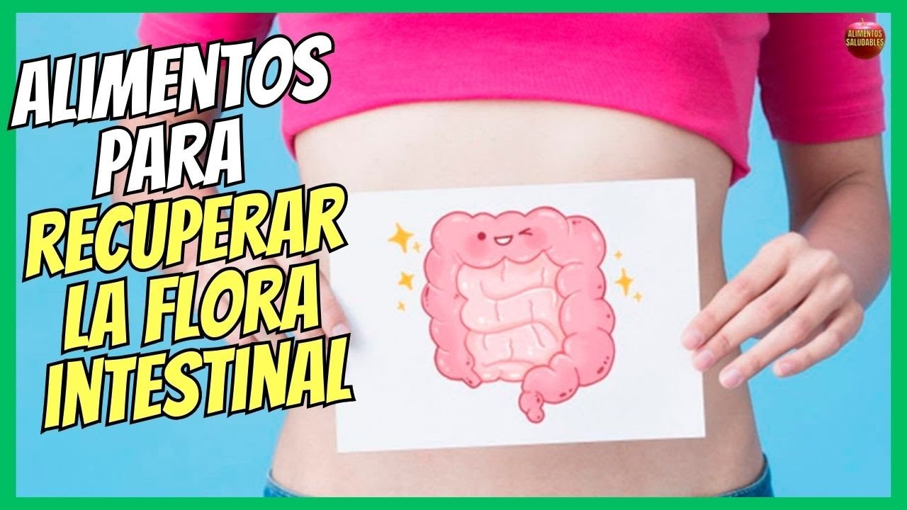infusiones para recuperar la flora intestinal