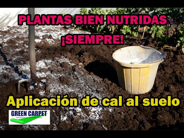 la cal es mala para las plantas
