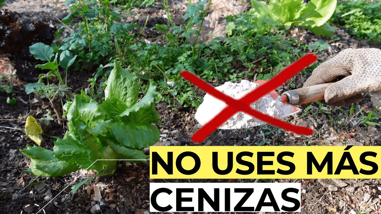 la ceniza es buen abono para las plantas