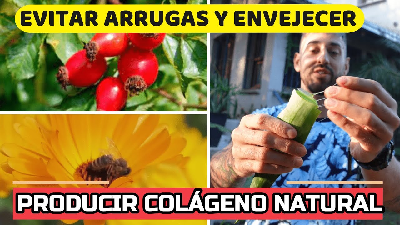 las mejores plantas para la piel