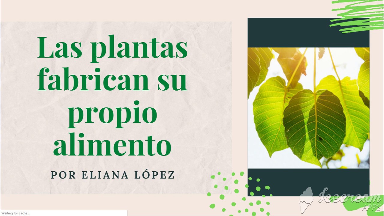 las plantas fabrican su propio alimento