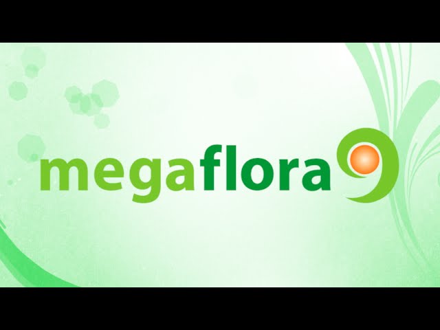 microbiota megaflora 9 para que sirve