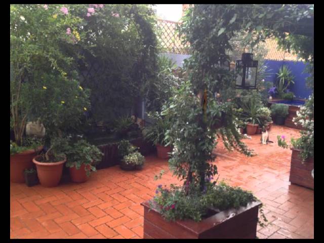 opiniones de terraza de las flores