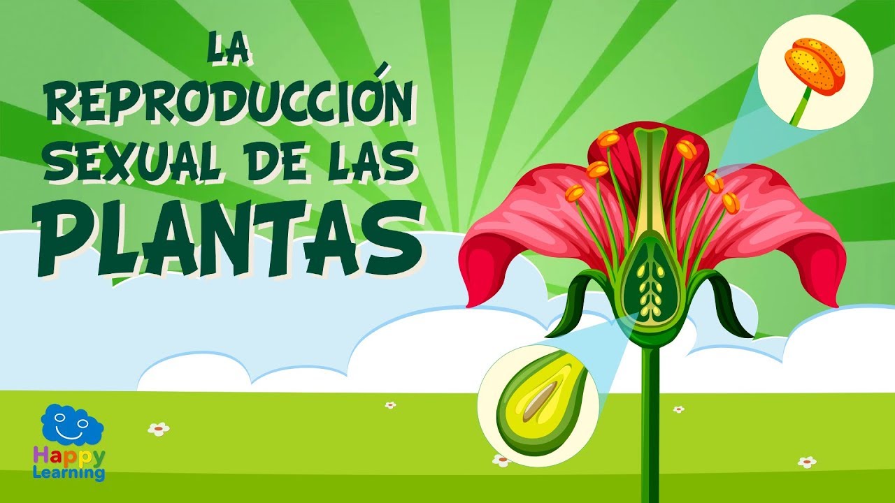 partes de la reproducción de las plantas