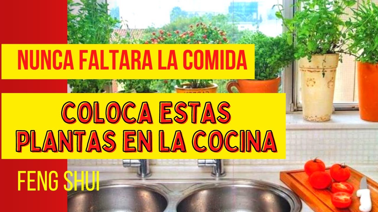 plantas en la cocina feng shui