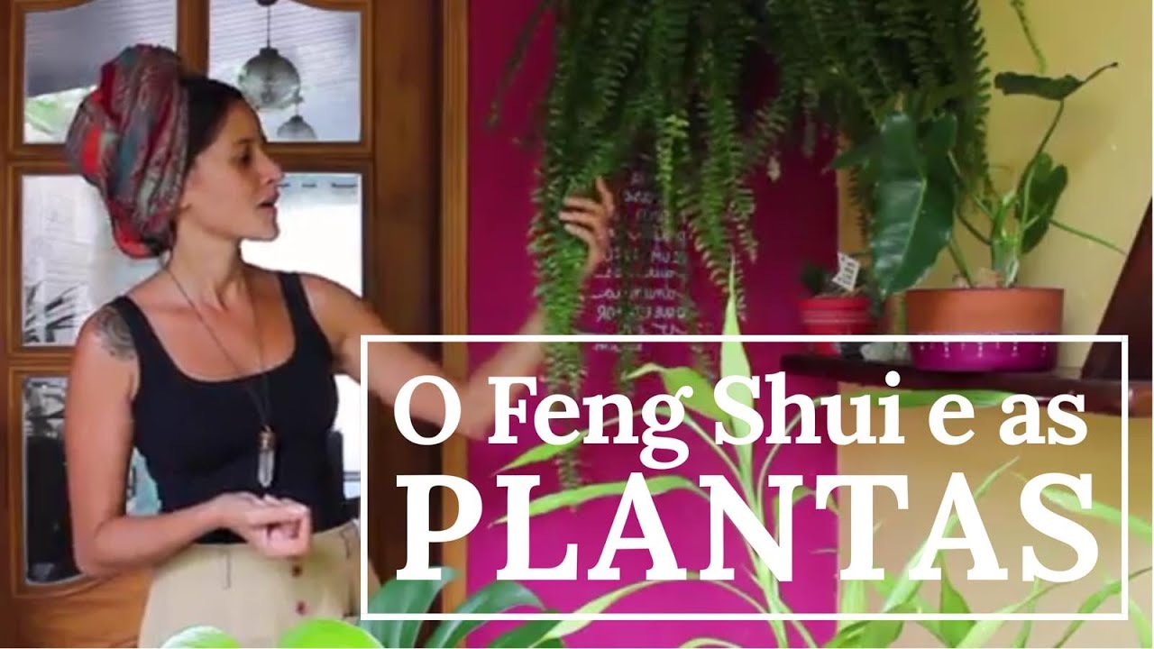 plantas para entrada de casa feng shui