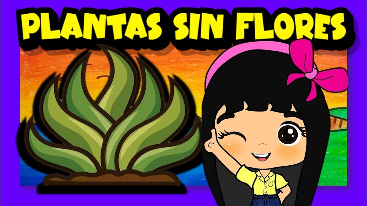 plantas sin flores y sus nombres