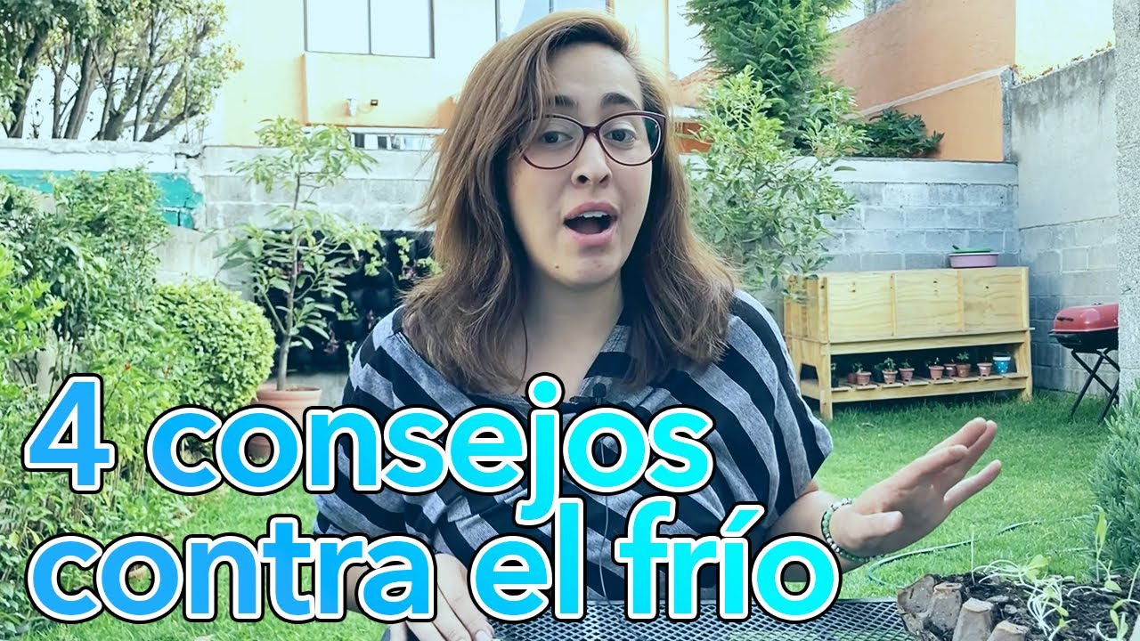 plastico para cubrir plantas en invierno