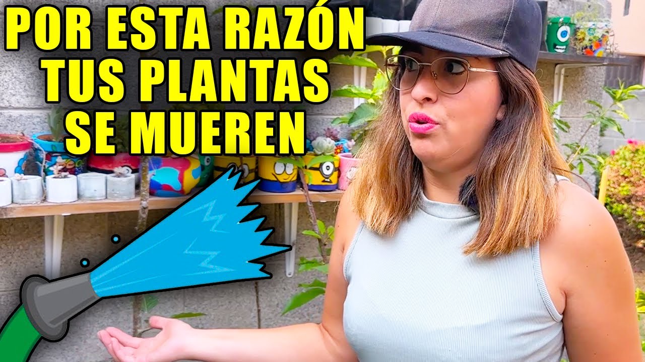 porque salen hongos en las plantas